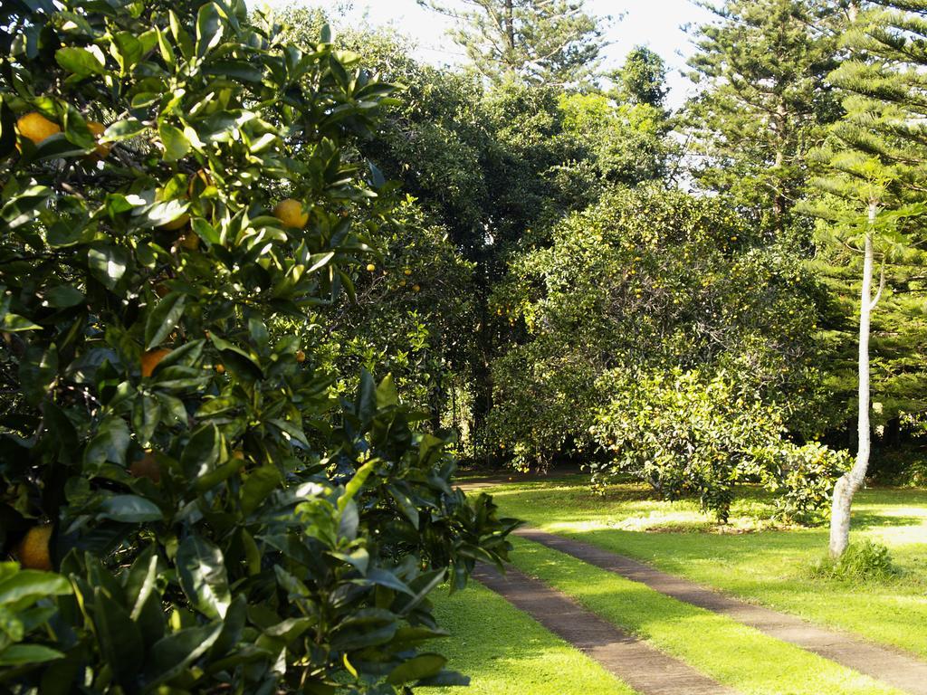 Hideaway Retreat Hotel Burnt Pine Buitenkant foto